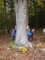 IMG 20201021 WA0005