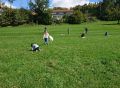 IMG 20210930 WA0019