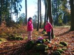 IMG 20221025 WA0027
